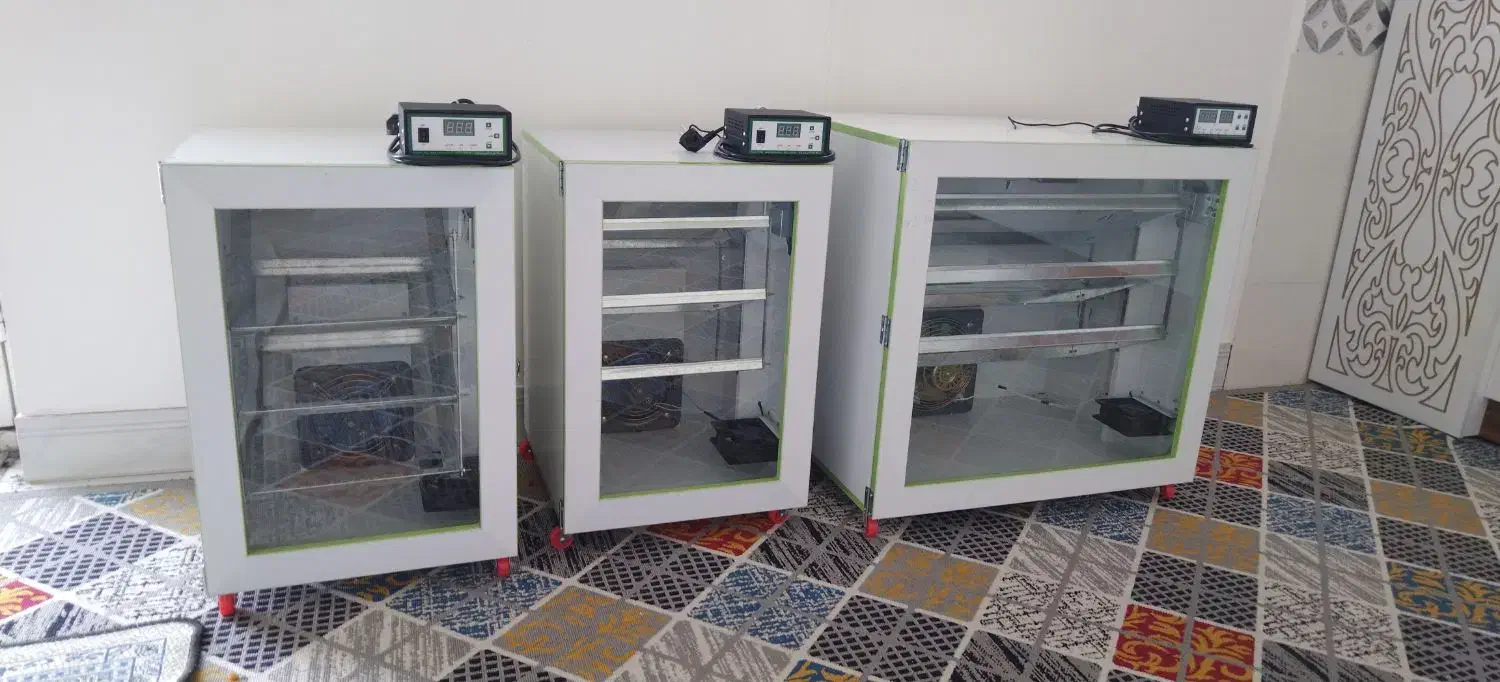 جوجه کشی|لوازم جانبی حیوانات|بوشهر, |دیوار