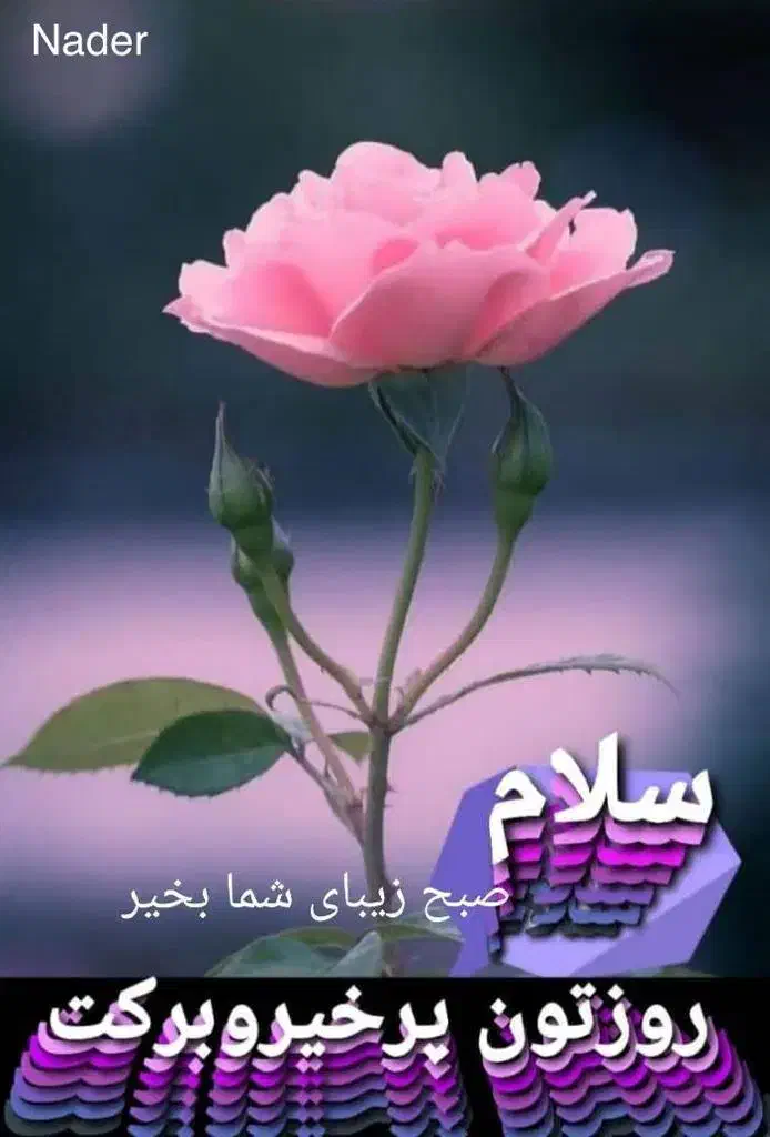 مراقبت از سالمند|فعالیت داوطلبانه|تهران, امانیه|دیوار