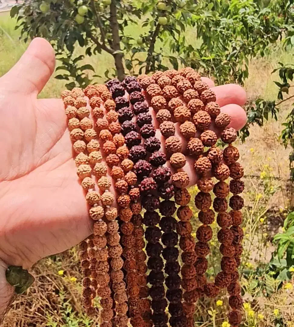 انواع رودراکشا تسبیح گردنبند|بدلیجات|تهران, بازار|دیوار