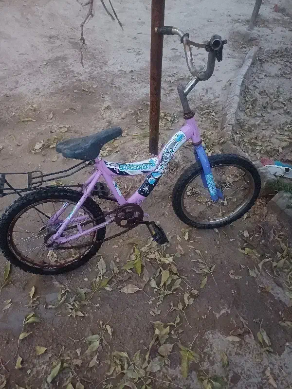 تخفیف نداره|دوچرخه، اسکیت، اسکوتر|اسفراین, |دیوار