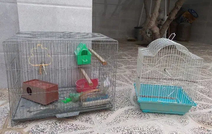 قفس پرنده|لوازم جانبی حیوانات|باغستان, |دیوار