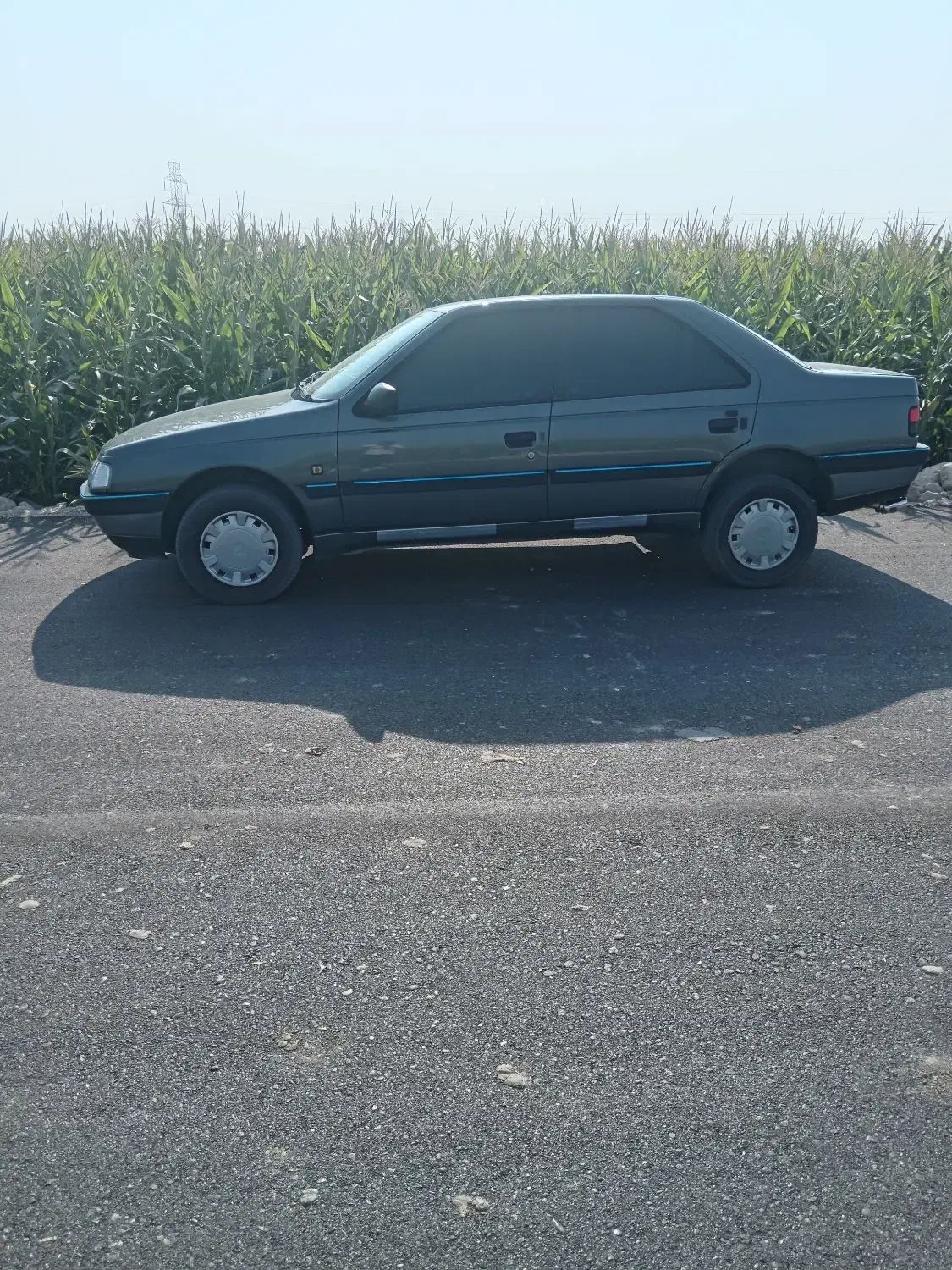 سواری پژو|خودرو سواری و وانت|دهدشت, |دیوار