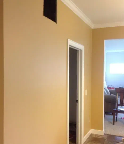 خدمات|خدمات پیشه و مهارت|گنبد کاووس, |دیوار