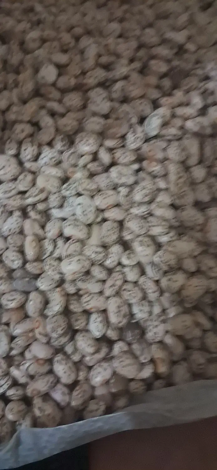 لوبیا ارتشی|خوردنی و آشامیدنی|اهواز, شهدای انتظامی|دیوار