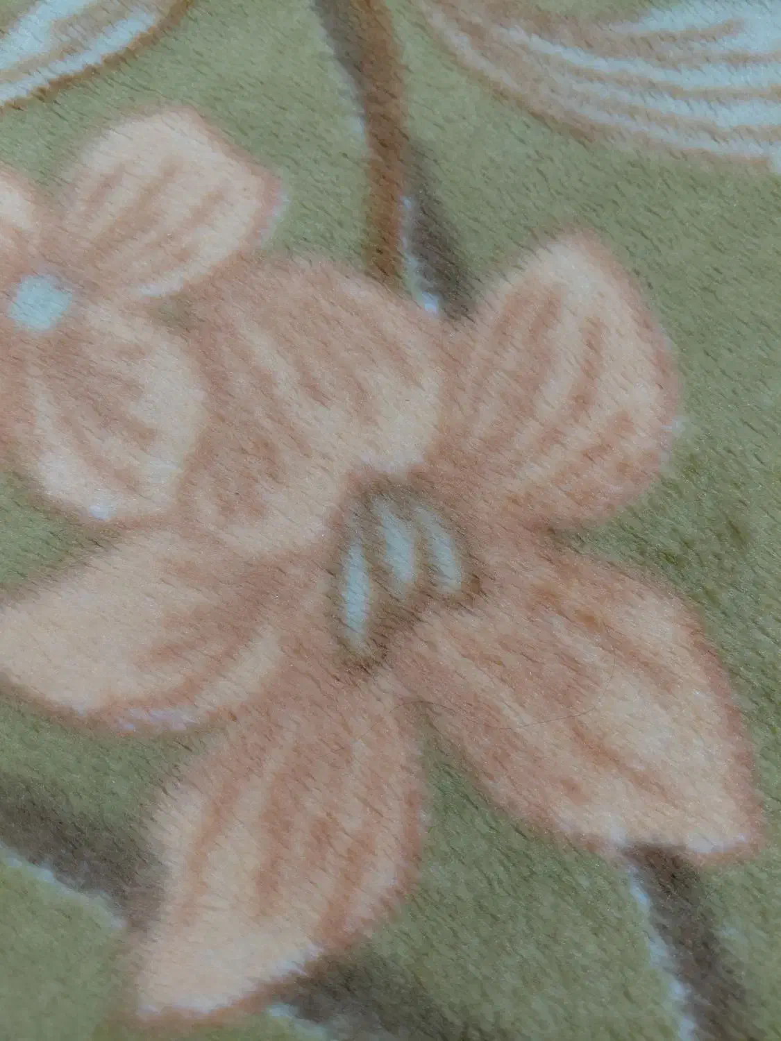 سیم‌کارت‌ایرانسل|سیم‌کارت|کرمان, |دیوار