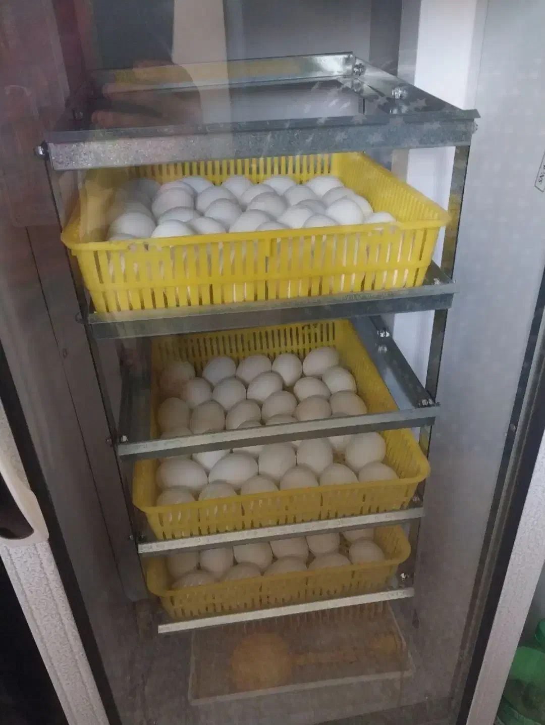 دستگاه جوجه کشی ۲۱۰ تایی|ماشین‌آلات صنعتی|رشت, کوی بیانی|دیوار