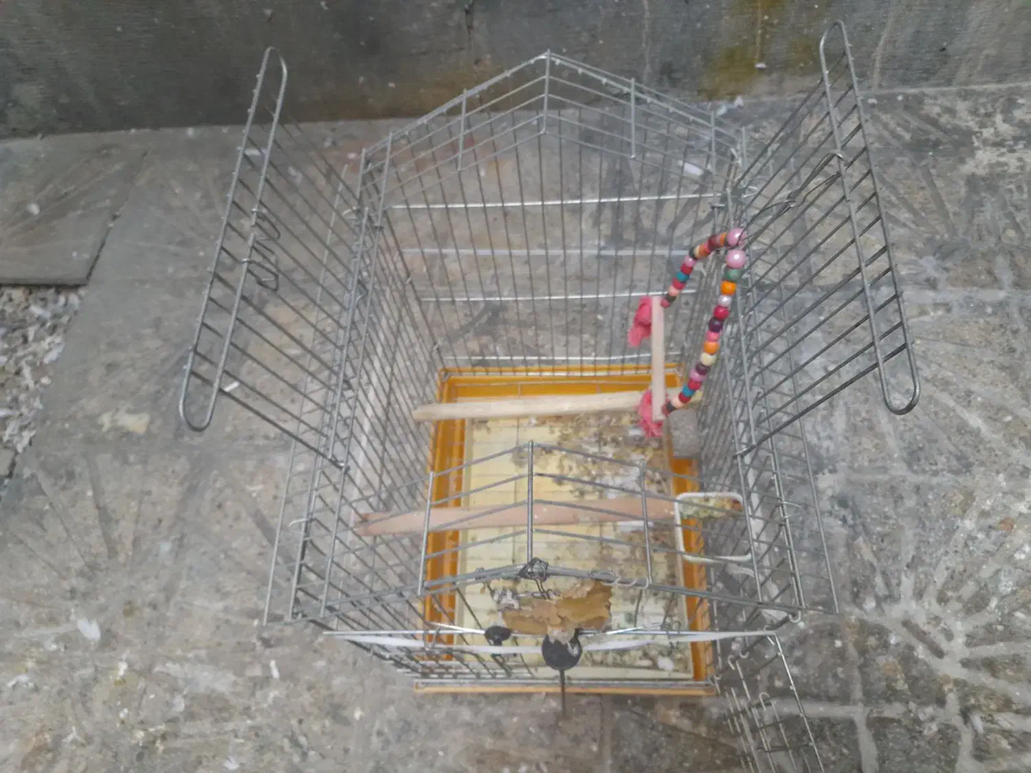 قفس بزرگ|لوازم جانبی حیوانات|بروجرد, |دیوار