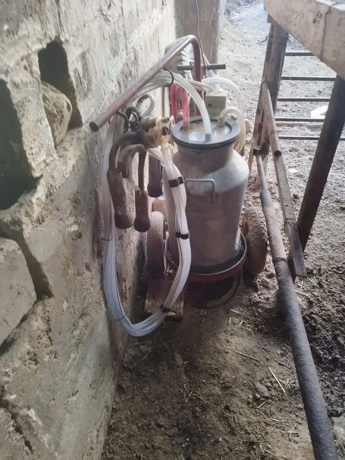 شیردوش|لوازم جانبی حیوانات|برخوار, |دیوار