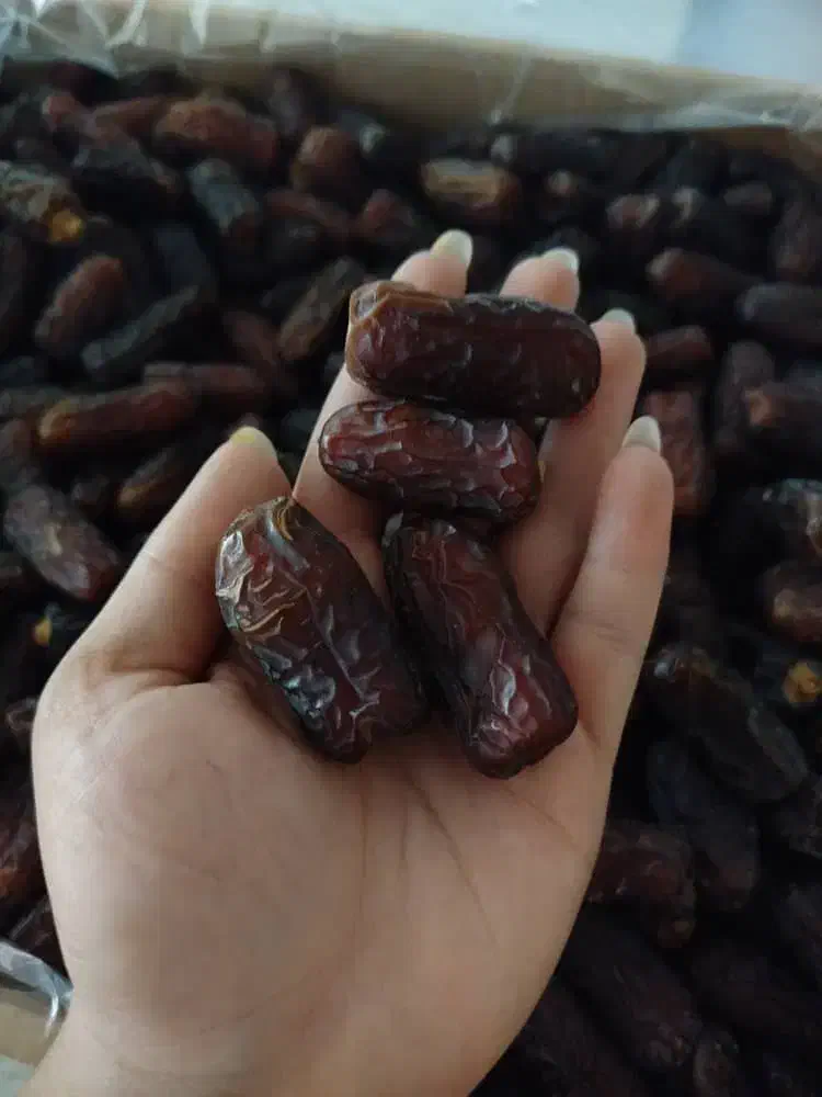 خرما پیارم هرمزگان|خوردنی و آشامیدنی|اهواز, کیانشهر|دیوار