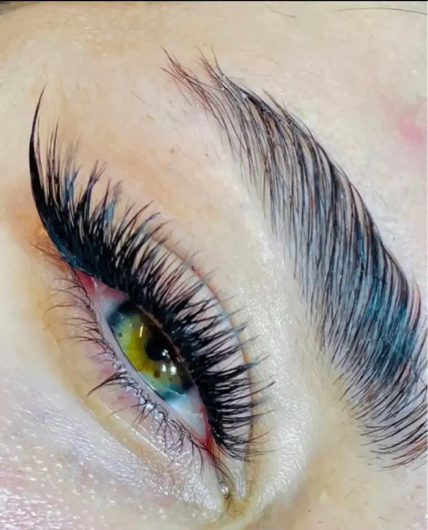 ورکشاب کاشت هیدن (تا عید به درامد عالی برسید)|خدمات آموزشی|شیراز, معالی‌آباد|دیوار