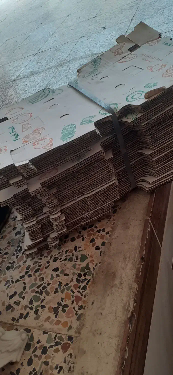 جعبه|ظروف نگهدارنده، پلاستیکی، یک‌بارمصرف|دزفول, |دیوار