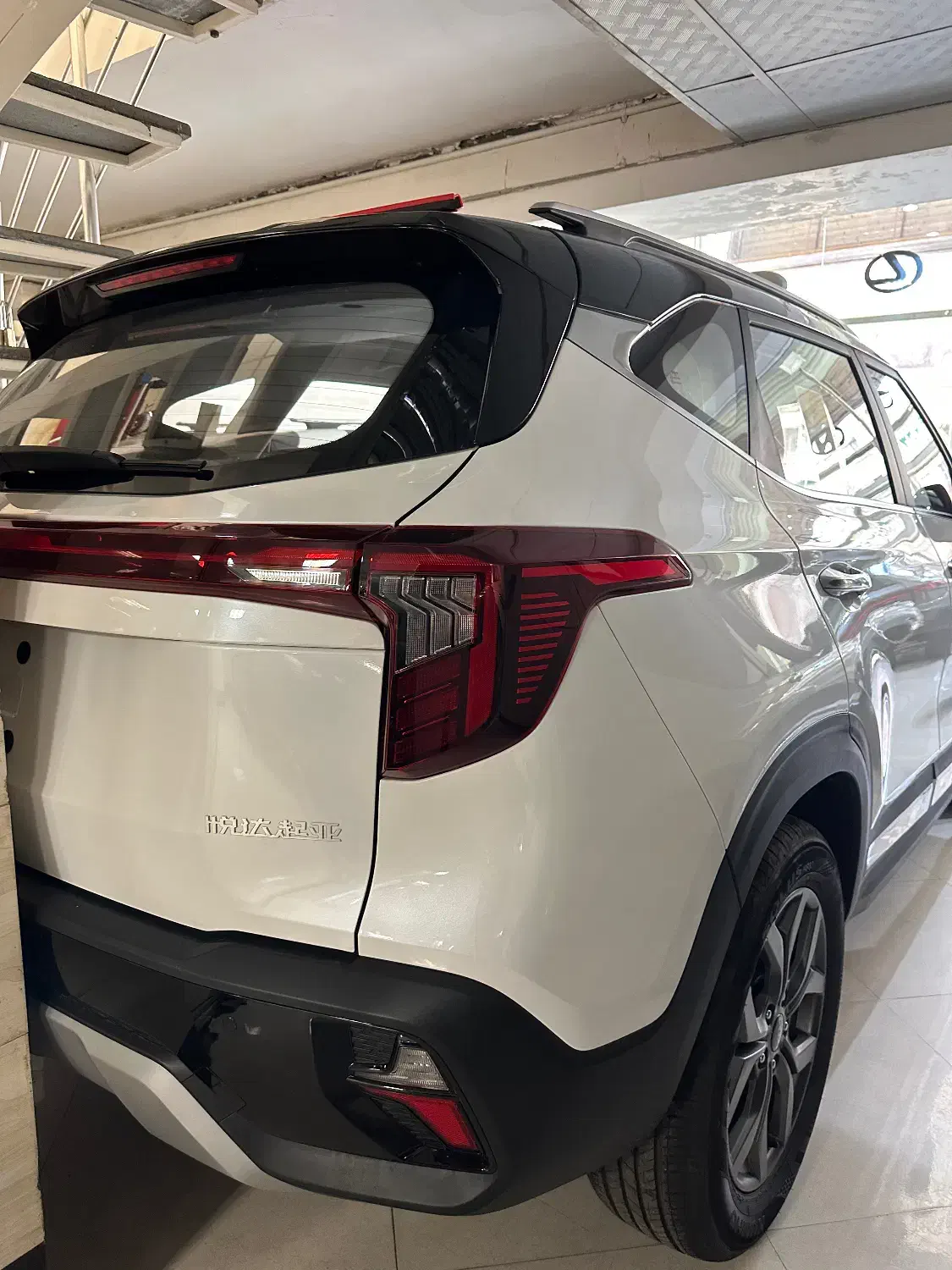 SELTOS|خودرو سواری و وانت|تبریز, |دیوار