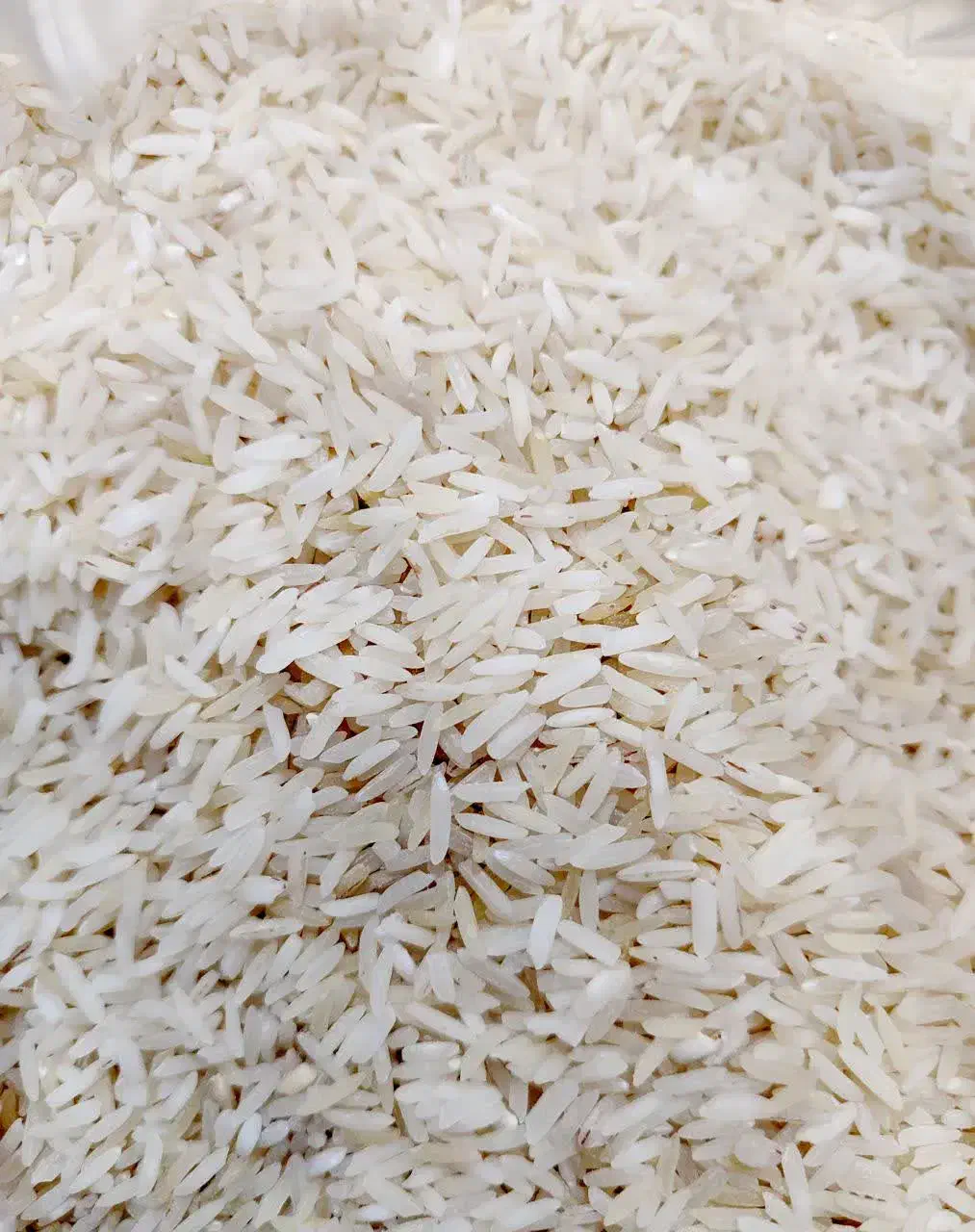 برنج خوشپخت مناسب مجالس و مهمانی|خوردنی و آشامیدنی|قم, دروازه ری|دیوار