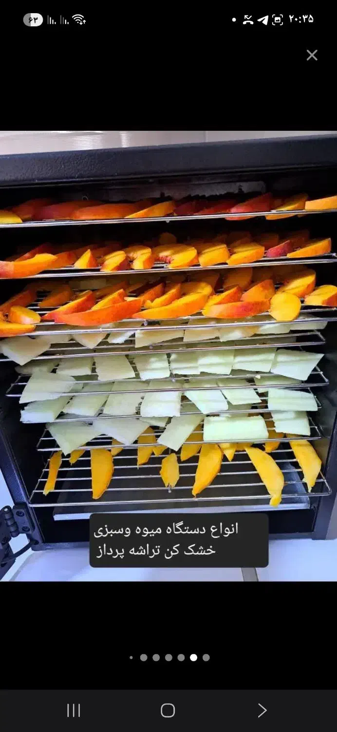 شغل توی منزل با خشک کردن انواع میوه و سبزی|سایر لوازم برقی|مشهد, سعد آباد|دیوار