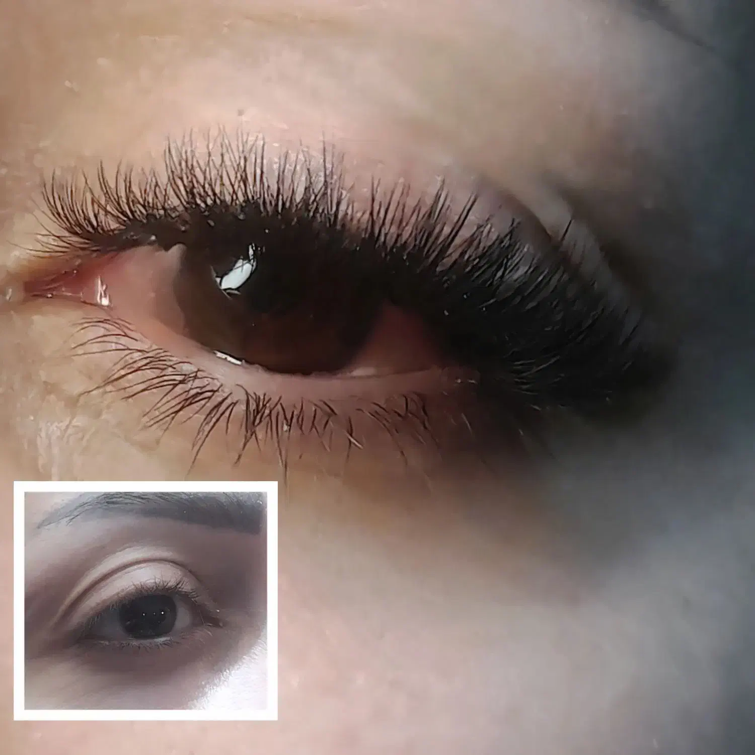 زیبایی چشم خود را به ما بسپارید .|خدمات آرایشگری و زیبایی|هشتگرد, مدرس|دیوار