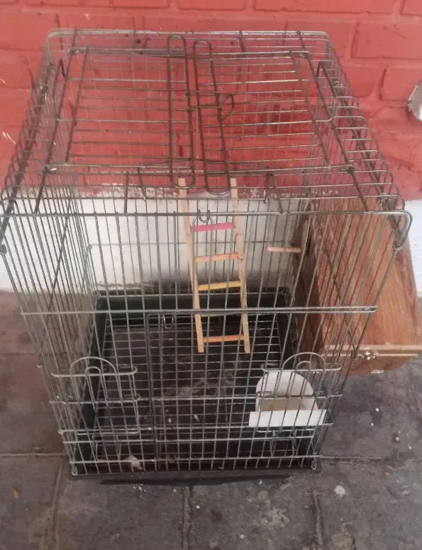 قفس|لوازم جانبی حیوانات|تهران, مهرآباد جنوبی|دیوار