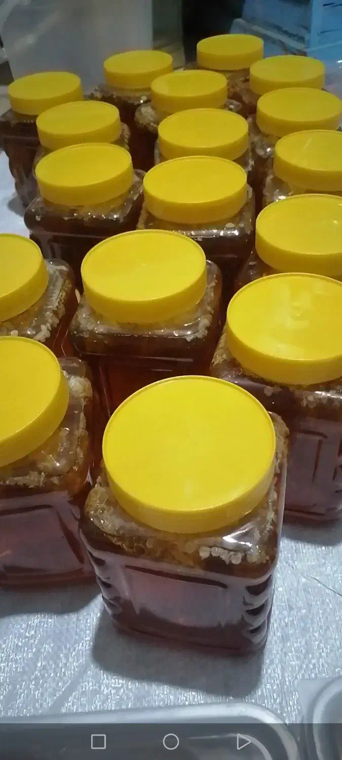 عسل ۱۰۰ درصد طبیعی بدون شکر|خوردنی و آشامیدنی|شیراز, گلشن|دیوار