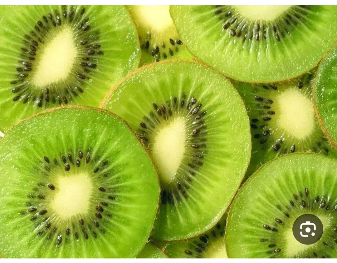 کیوی ریز و دوقلو|خوردنی و آشامیدنی|قائمشهر, |دیوار