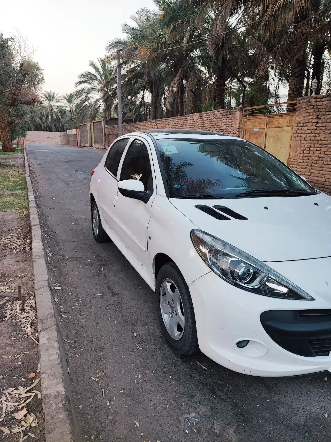 پژو 207 پانوراما|خودرو سواری و وانت|بم, |دیوار