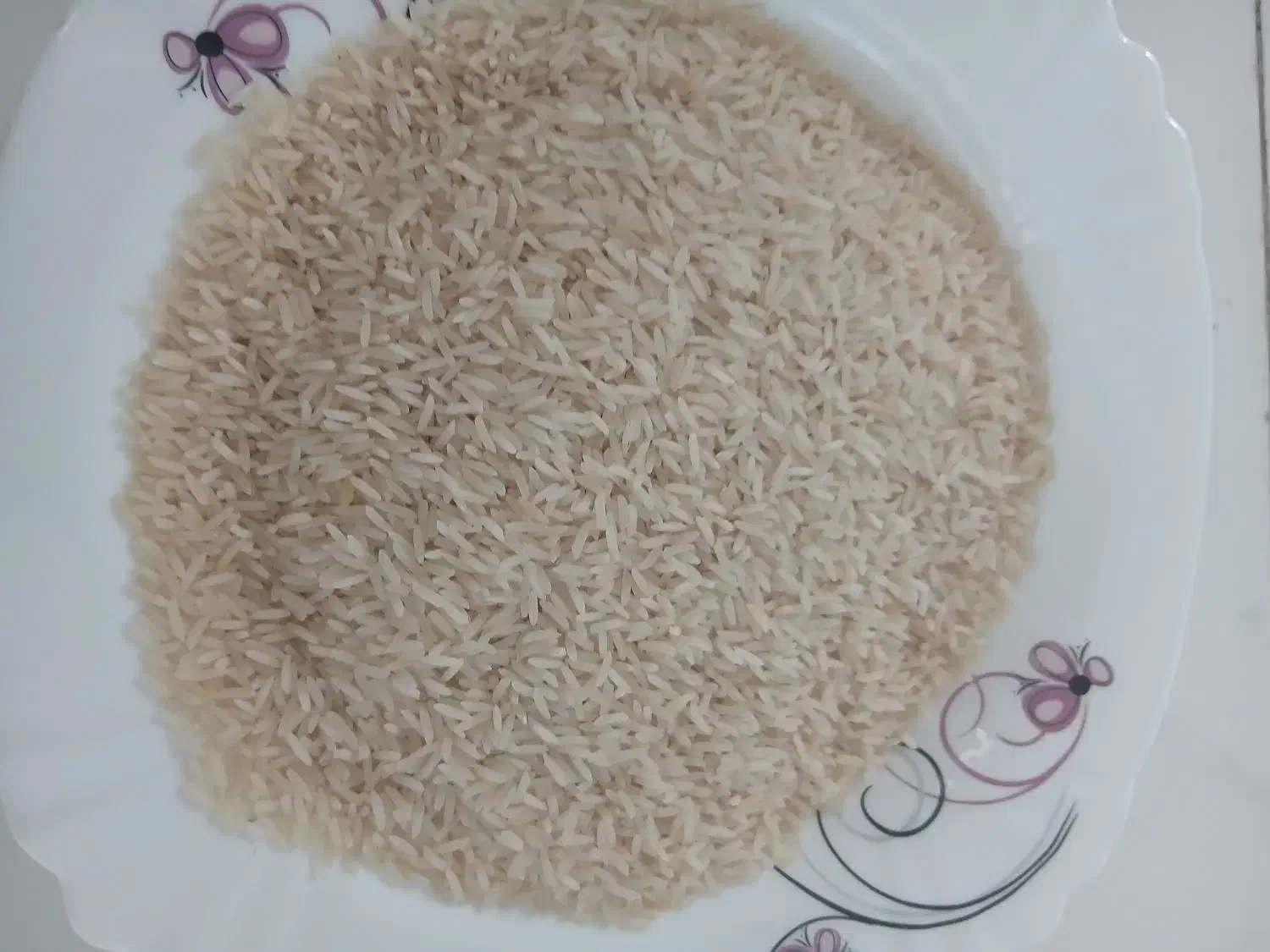 برنج هاشمی|خوردنی و آشامیدنی|اصفهان, ارغوانیه|دیوار