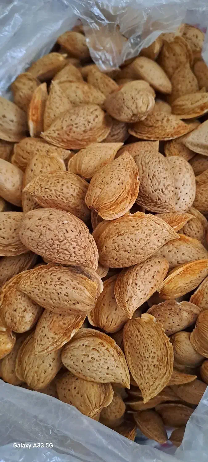 بادام درشت دوقلو|خوردنی و آشامیدنی|سبزوار, هویزه|دیوار