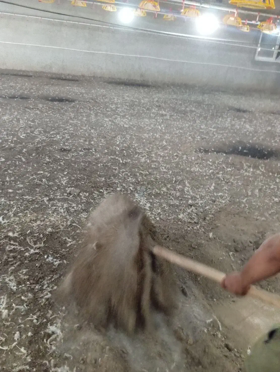 شش چرغ|خدمات باغبانی و درختکاری|خوی, |دیوار