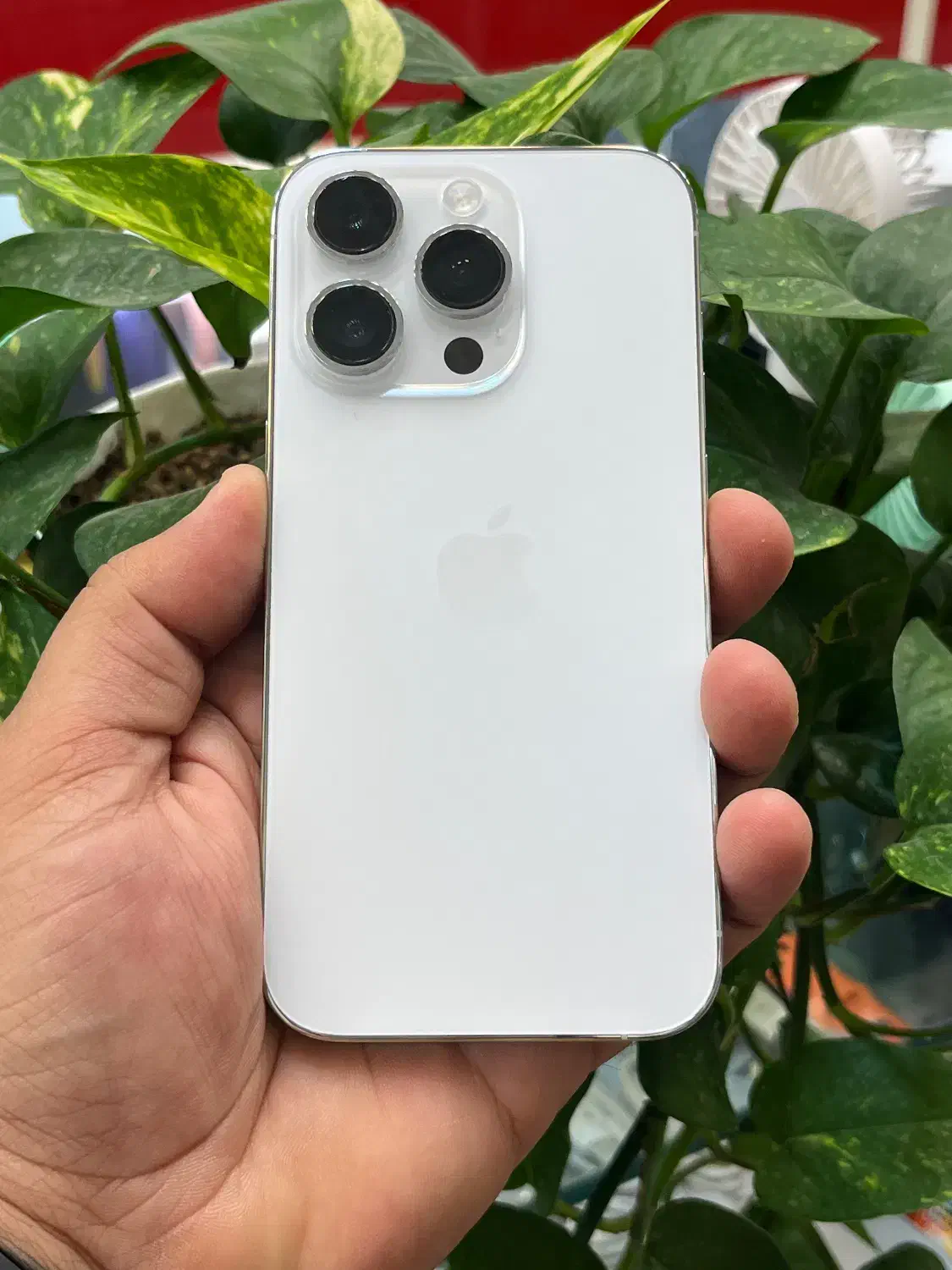 Iphone 14 pro|موبایل|شیراز, گود عربان|دیوار