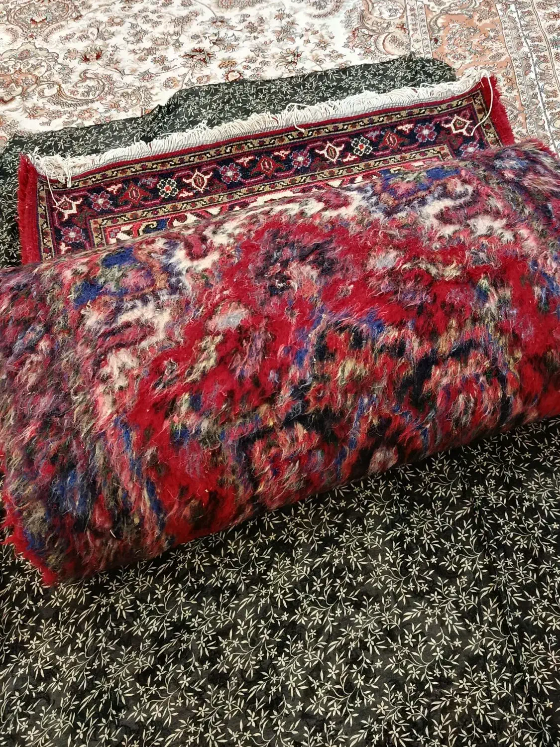 فرش دست باف|فرش|سهند, |دیوار