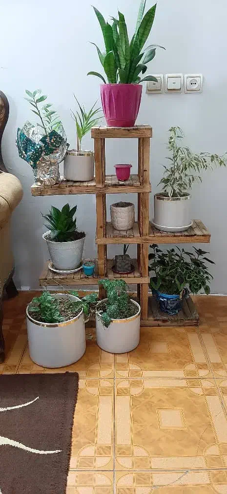 گل با استند چوبی|گل و گیاه طبیعی|بروجرد, |دیوار