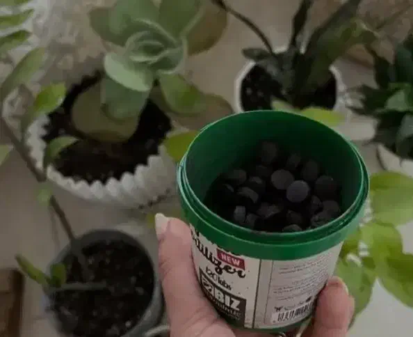 کود|گل و گیاه طبیعی|تهران, پارک شهر|دیوار