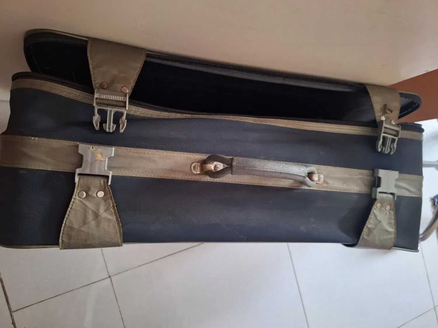 چمدان مسافرتی|کیف، کفش، کمربند|رشت, کاکتوس|دیوار