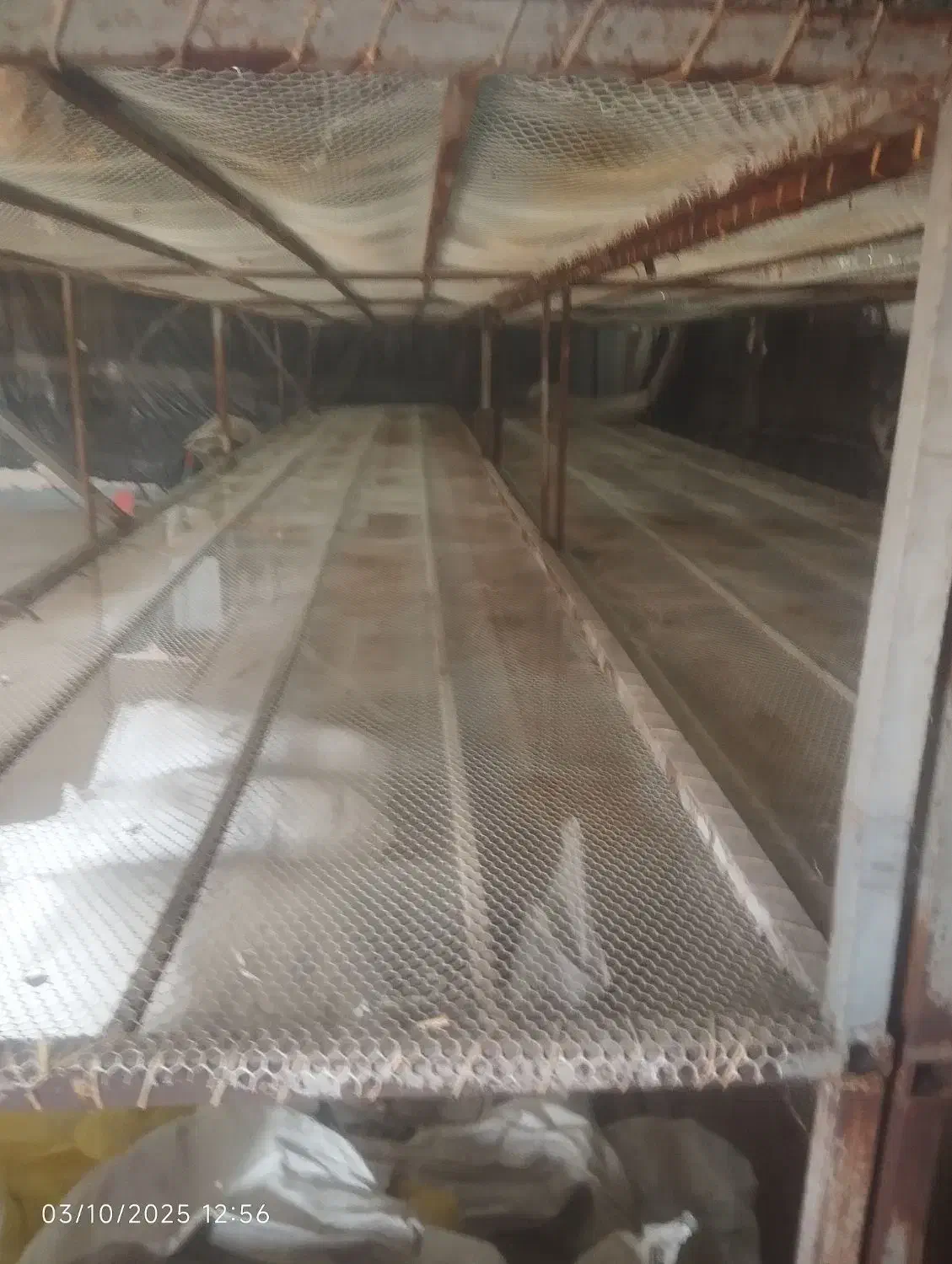 قفسه قارچ|ابزارآلات|نمین, |دیوار