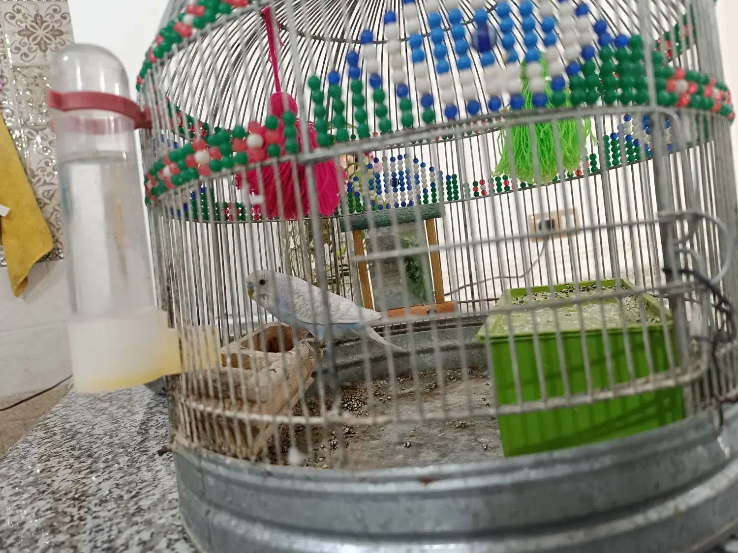 قفس|لوازم جانبی حیوانات|برازجان, |دیوار