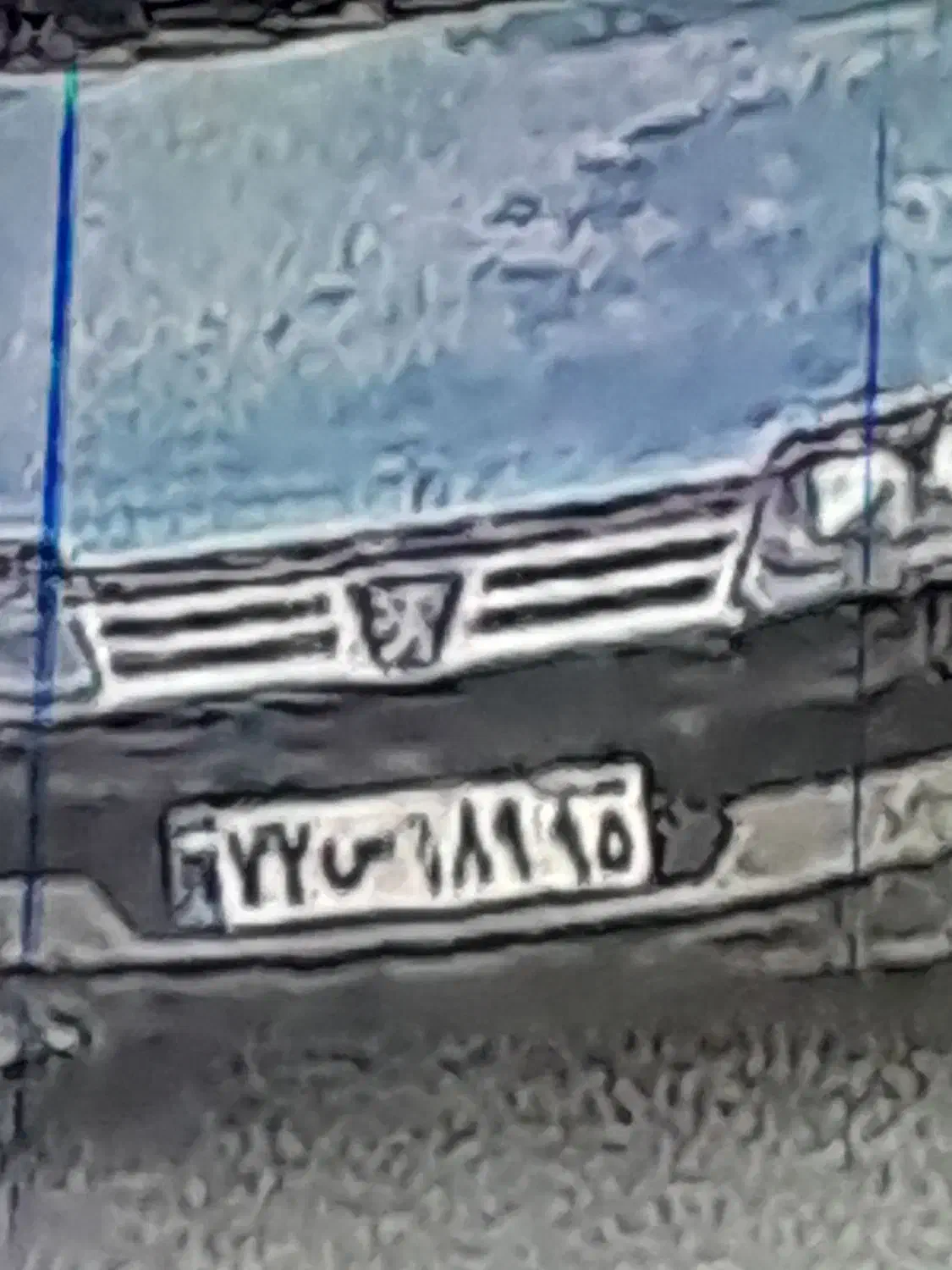 پاچن گم شده هر کی دید اطلاع بده لطفا|حیوانات|سراوان, |دیوار