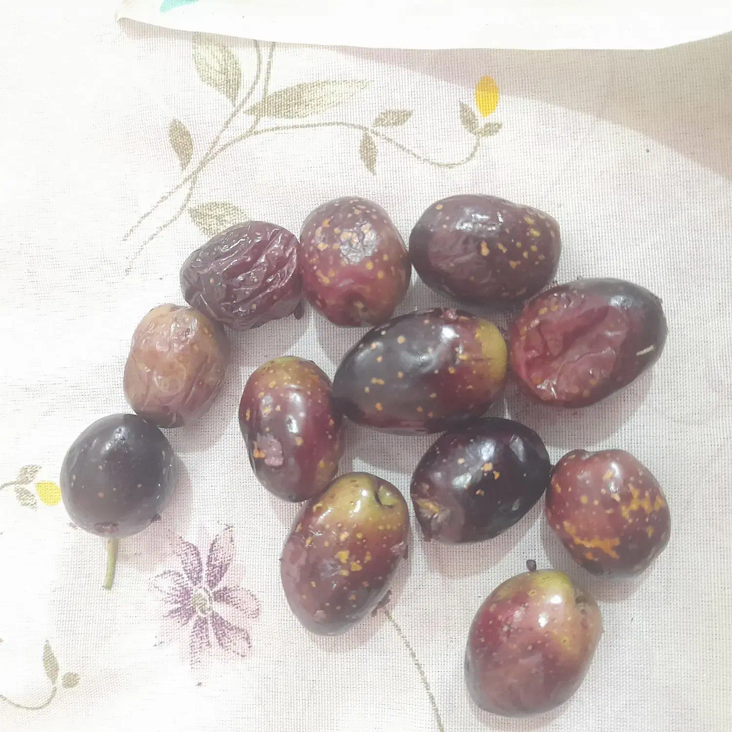 زیتون فروشی|خوردنی و آشامیدنی|جیرفت, |دیوار
