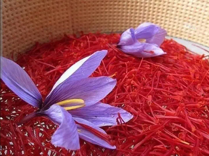 زعفران نگین درجه1صادراتی اتوپرسی|خوردنی و آشامیدنی|تربت‌حیدریه, جانبازان|دیوار