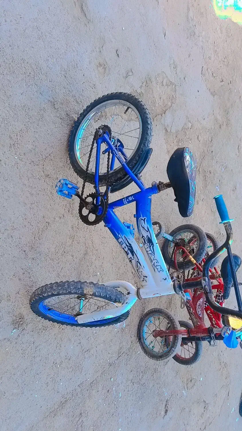 دوچرخه 16|دوچرخه، اسکیت، اسکوتر|شاهرود, |دیوار