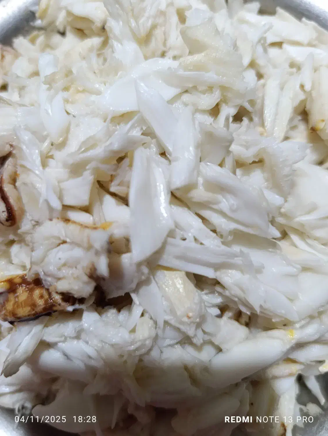 ماهی فروشی هلیا|ماهی|ریگ, |دیوار