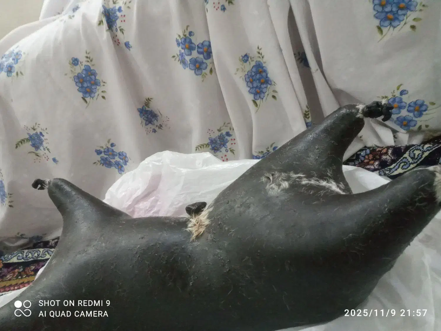 هیزه|ظروف نگهدارنده، پلاستیکی، یکبارمصرف|کوهدشت, |دیوار