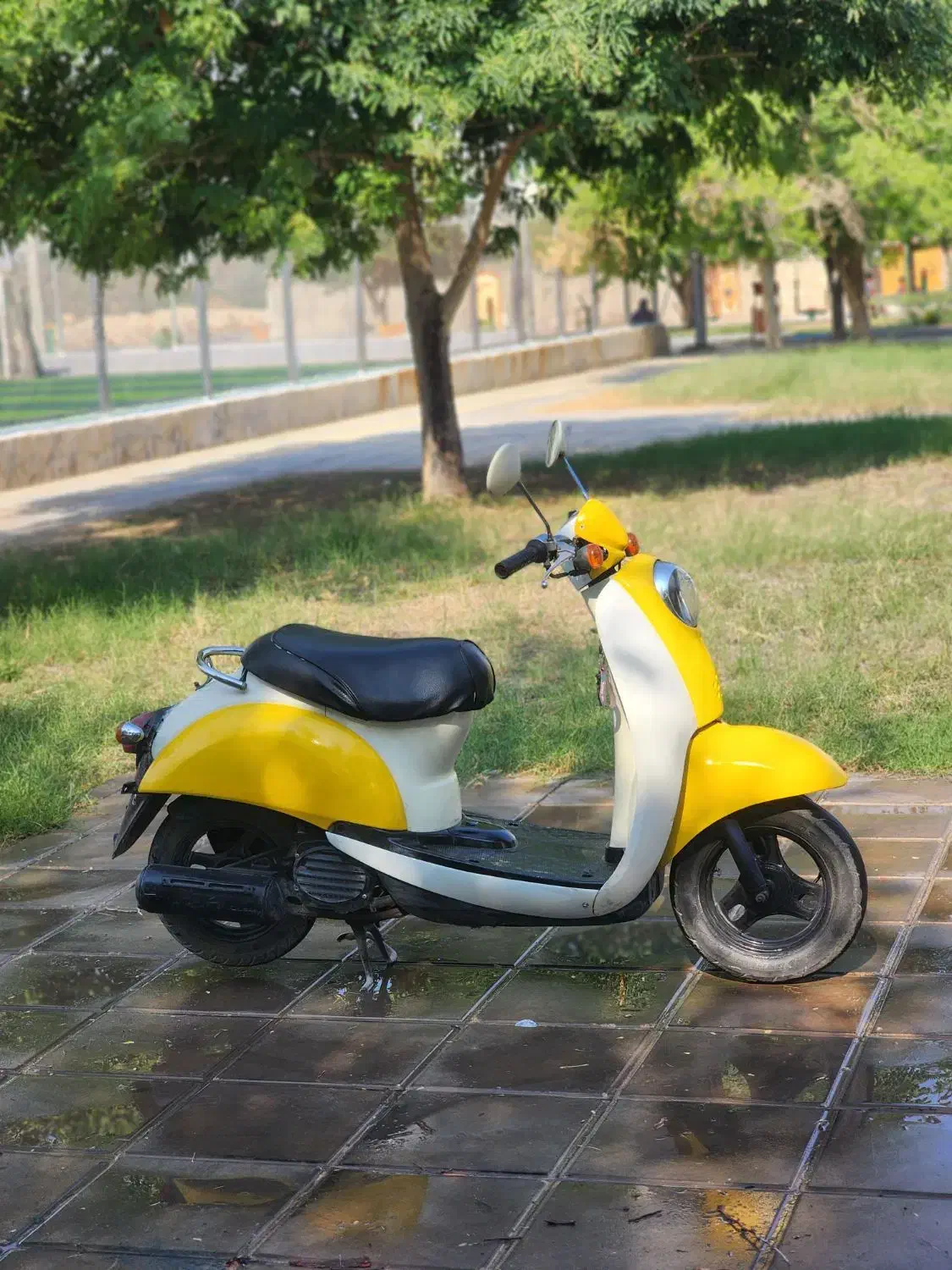 اسکوپی و موتور مزایده|موتورسیکلت|خورموج, |دیوار