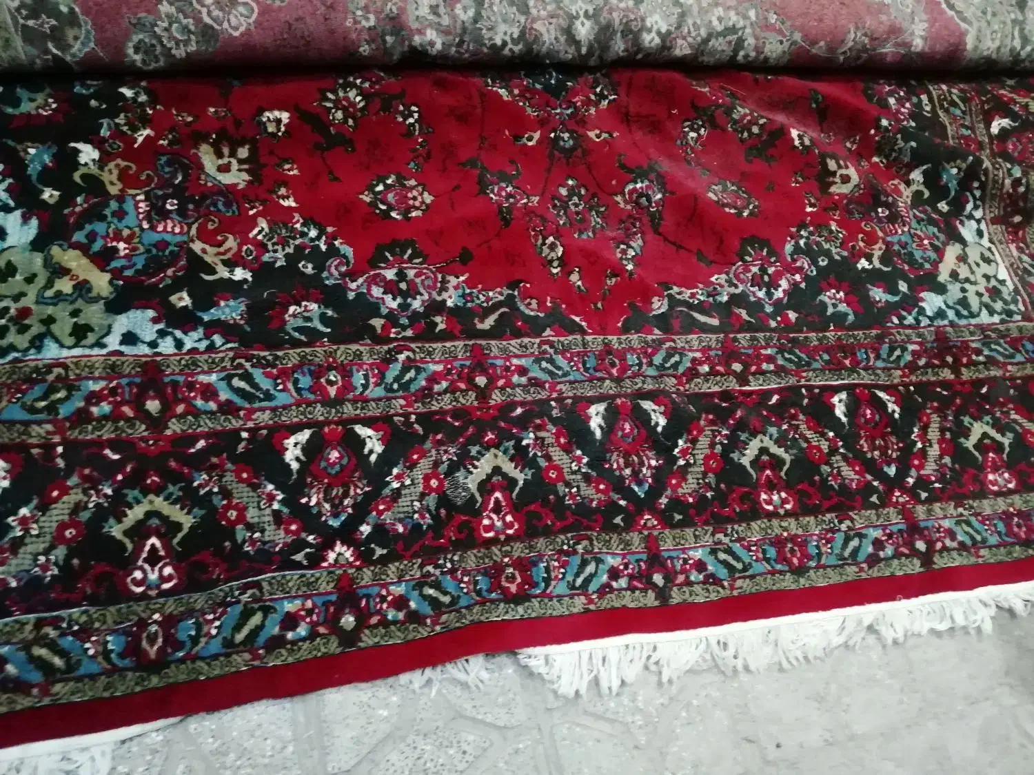 یک دوعدد فرش دست دوم سالم وتمیز|فرش|سلامی, |دیوار