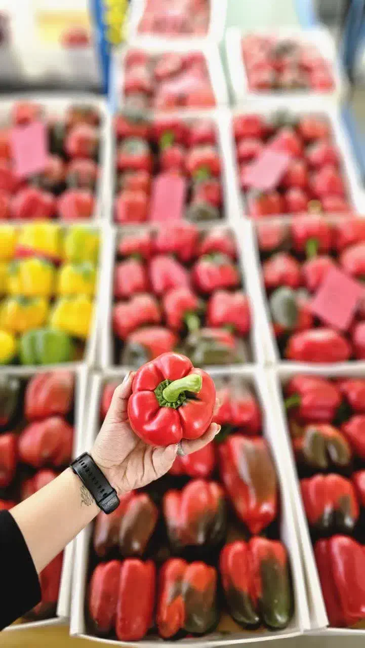 دو نفر کارگر سورتینگ|استخدام سرایداری و نظافت|خمین, |دیوار