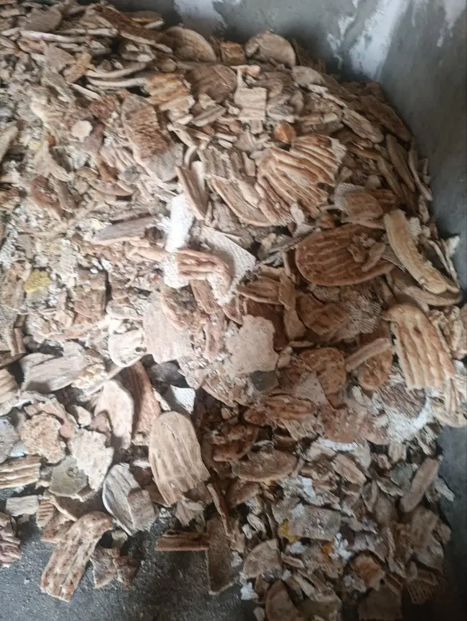 نان خشک بدون کپک تافتون|لوازم جانبی حیوانات|مشهد, انقلاب|دیوار