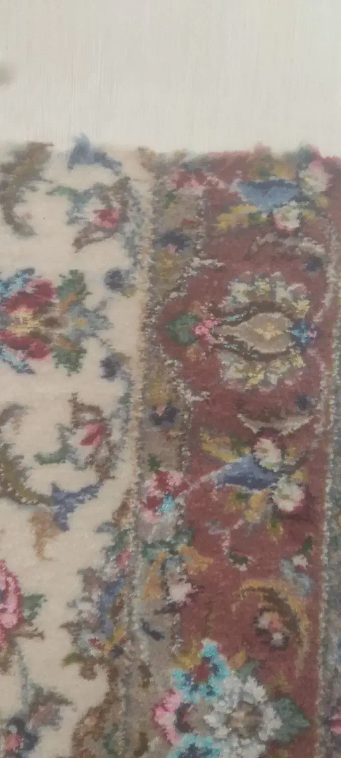 قالی ذرع و نیم تموم نشده|فرش|کاشان, کوی اداره گاز|دیوار