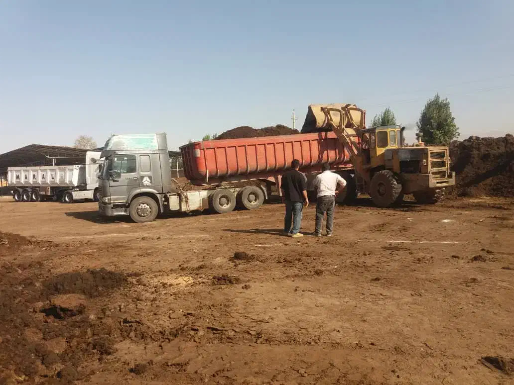 پخش کود حیوانی گاوی پوسیده بارگیری داخل گاوداری|خدمات باغبانی و درختکاری|جیرفت, |دیوار