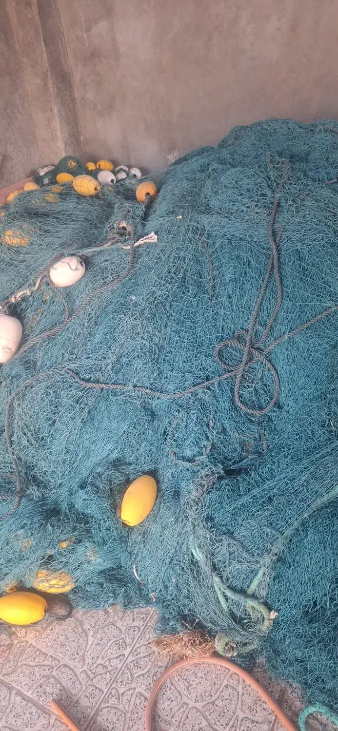 تور پرسان کره ای|ماهیگیری|بندرعباس, |دیوار