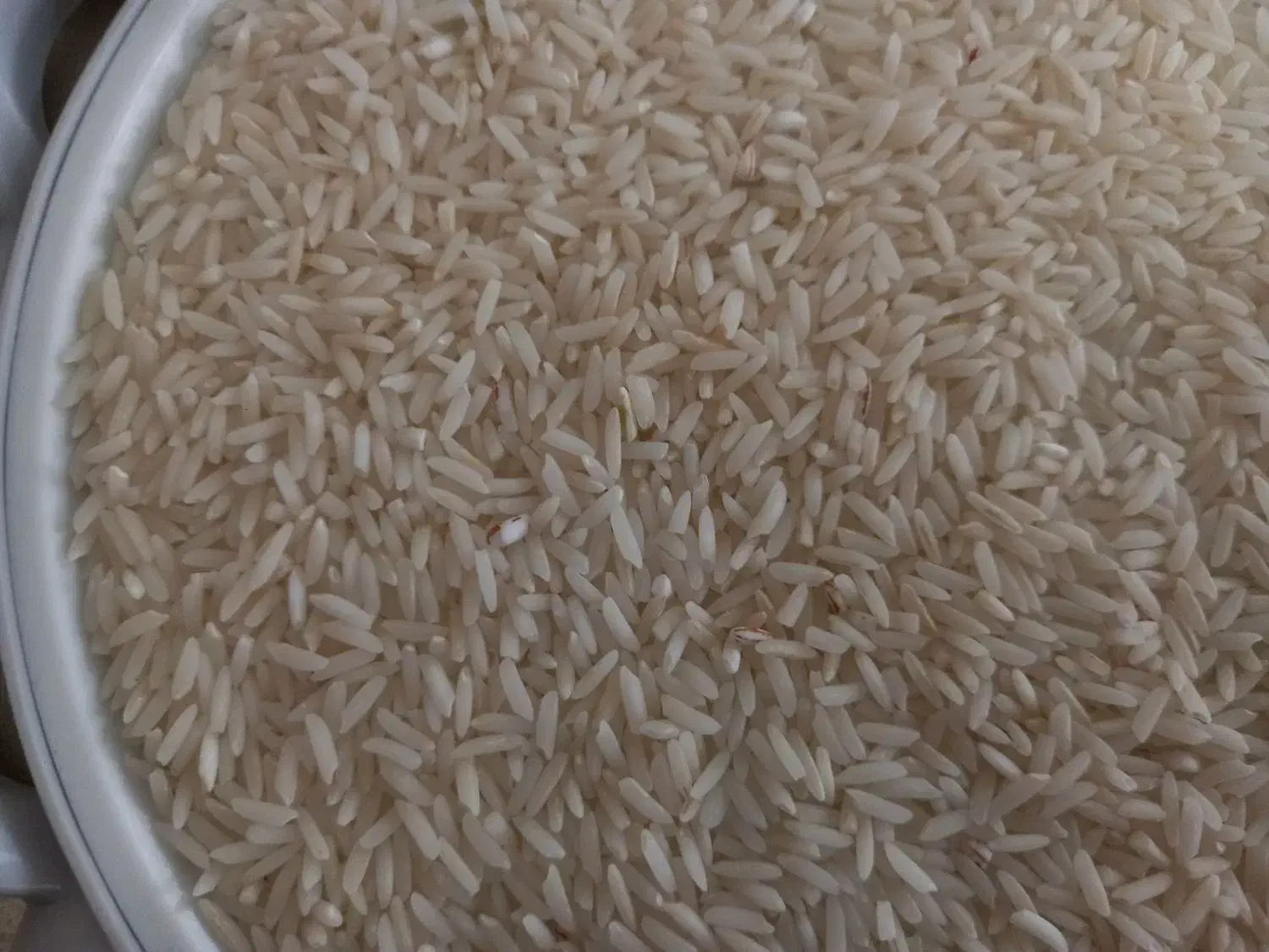 برنجهاشمی|خوردنی و آشامیدنی|رودبنه, |دیوار