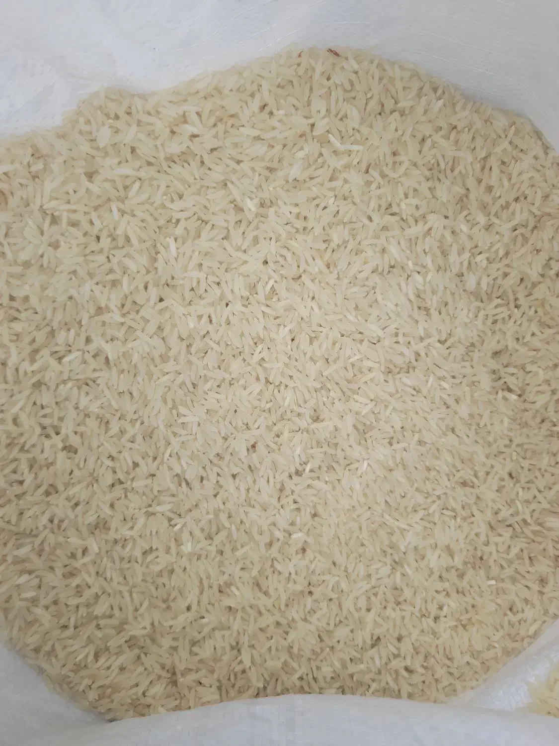 برنج فجرسوزنی|خوردنی و آشامیدنی|گنبد کاووس, |دیوار