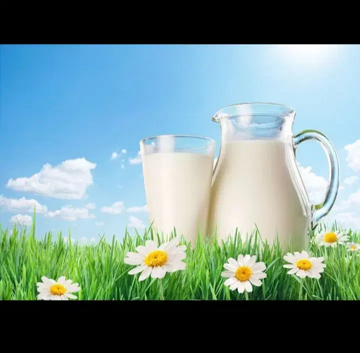 لبنیات محلی|خوردنی و آشامیدنی|سنندج, |دیوار