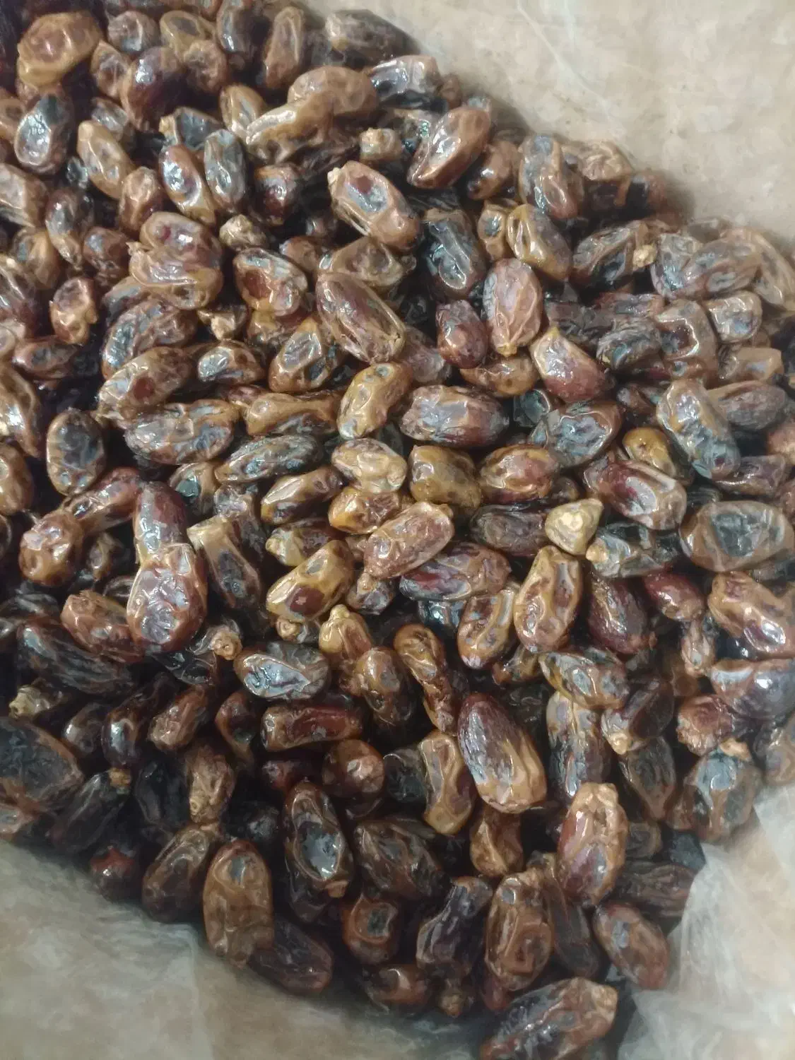 خرمای مضافتی و کلوته عمده فروشی|خوردنی و آشامیدنی|مشهد, کارمندان دوم|دیوار